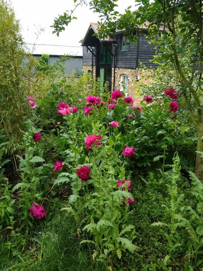 Apartamento Watercress Barns Sittingbourne Exterior foto